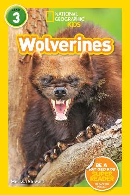Book cover of Wolverines by Melissa Stewart