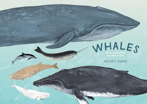 Book cover of Whales: An Illustrated Celebration by Kelsey Oseid