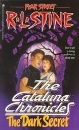 Book cover of The Dark Secret by R.L. Stine