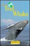 Book cover of On The Trail Of Whales by Jean-Michel Dumont, Remy Marion, François Desbordes (Illus.)