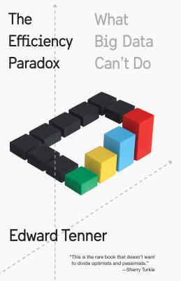 Book cover of The Efficiency Paradox: What Big Data Can't Do by Edward Tenner