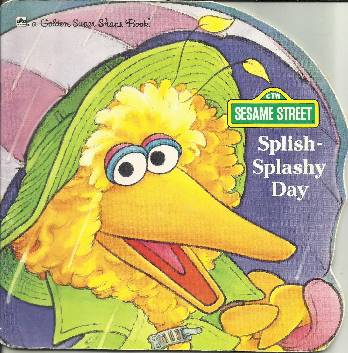 Book cover of Splish-Splashy Day by Liza Alexander, Joe Ewers (Illus.)