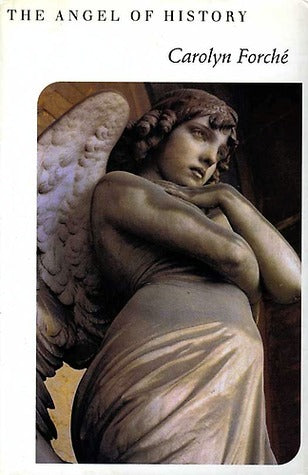 Book cover of The Angel of History by Carolyn Forché
