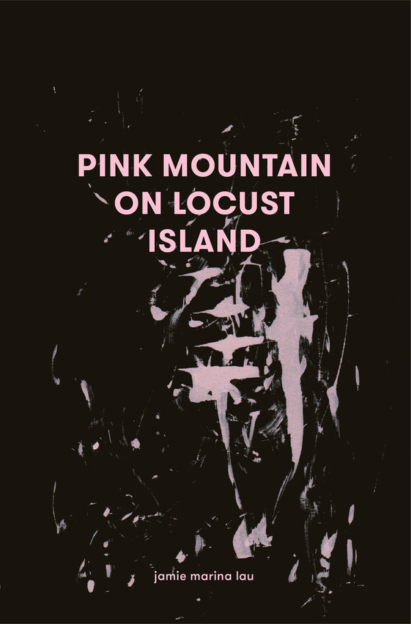 Book cover of Pink Mountain On Locust Island by Jamie Marina Lau
