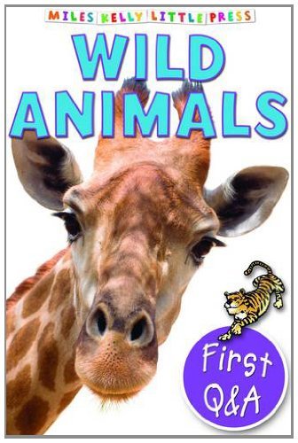 Book cover of Little Q a Wild Animals by Miles Kelly Publishing