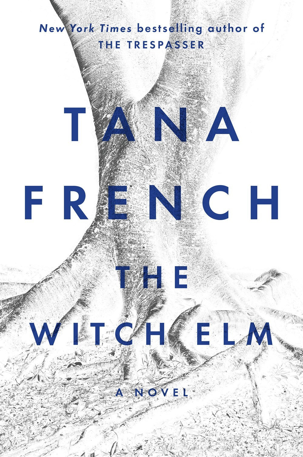 Book cover of The Witch Elm by Tana French