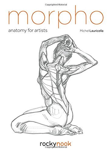 Book cover of Morpho: Anatomy For Artists by Michel Lauricella