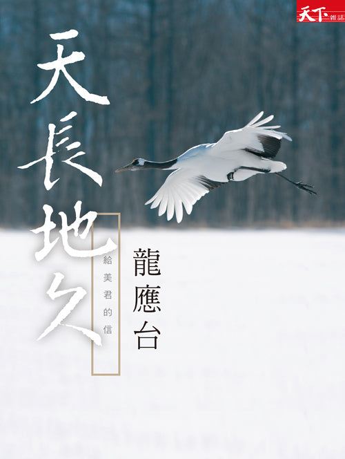 Book cover of 天长地久：给美君的信 by Lung Ying-tai, 龍應台