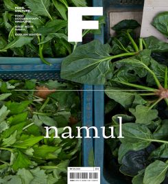 Book cover of Magazine F (Issue #16 Namul)
