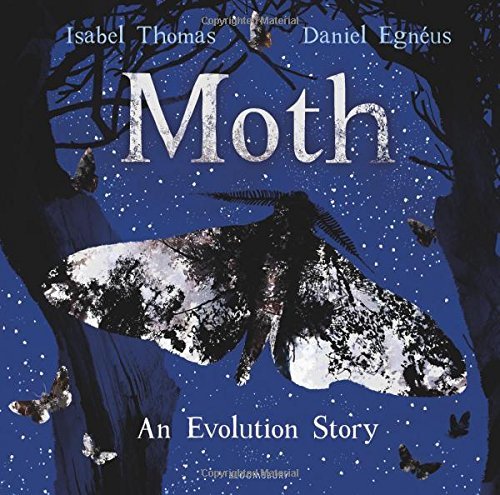 Book cover of Moth by Isabel Thomas, Daniel Egnéus (Illus.)