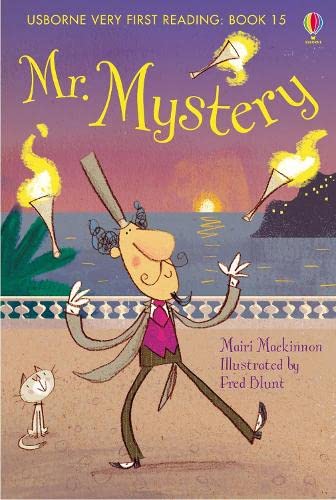 Book cover of Mr. Mystery by Mairi Mackinnon, Fred Blunt