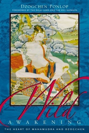 Book cover of Wild Awakening: The Heart of Mahamudra and Dzogchen by Dzogchen Ponlop
