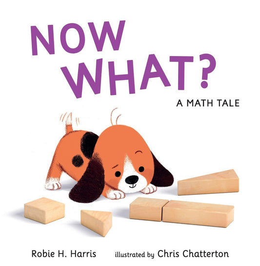 Book cover of Now What? by Robie H. Harris, Chris Chatterton (Illus.)