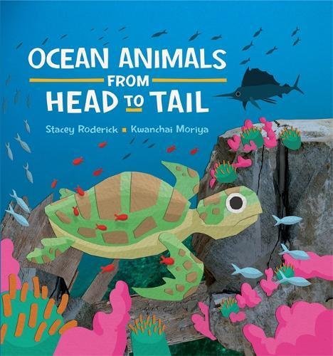 Book cover of Ocean Animals From Head To Tail by Stacey Roderick, Kwanchai Moriya (Illus.)