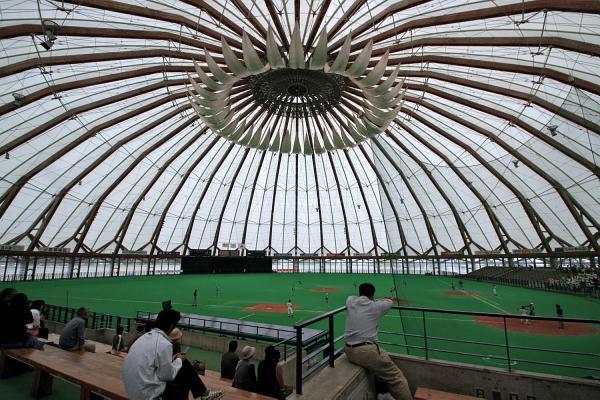 Book cover of Structured Lineages: Learning From Japanese Structural Design by Guy Nordenson (Ed.)