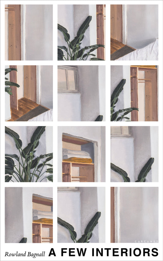 Book cover of A Few Interiors by Rowland Bagnall