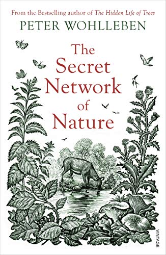 Book cover of The Secret Network of Nature: The Delicate Balance of All Living Things by Peter Wohlleben