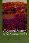Book cover of A Natural History of the Sonoran Desert by Steven J. Phillips (Ed.), Patricia Wentworth Comus (Ed.), Richard H. Daley (Preface by)