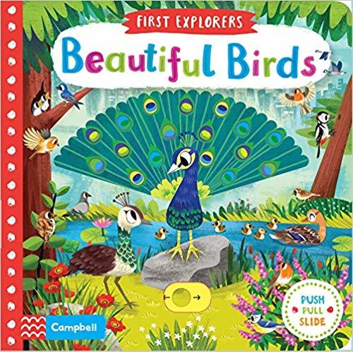 Book cover of Beautiful Birds by Cambell Books, Chorkung (Ilustrator)
