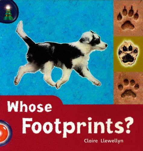 Book cover of Whose Footprints? by Claire Llewellyn