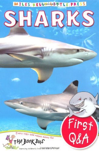 Book cover of Sharks by Belinda Gallagher