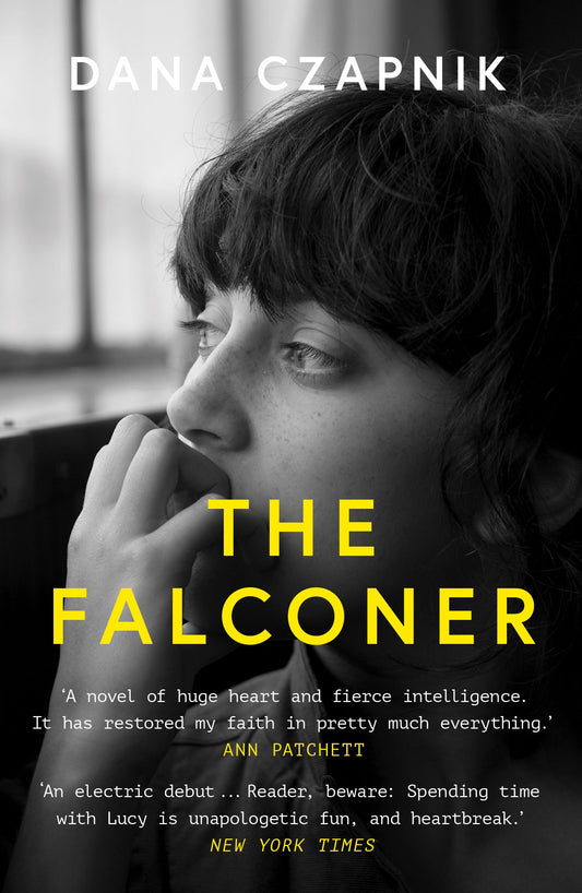 Book cover of The Falconer by Dana Czapnik