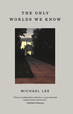 Book cover of The Only Worlds We Know by Michael   Lee