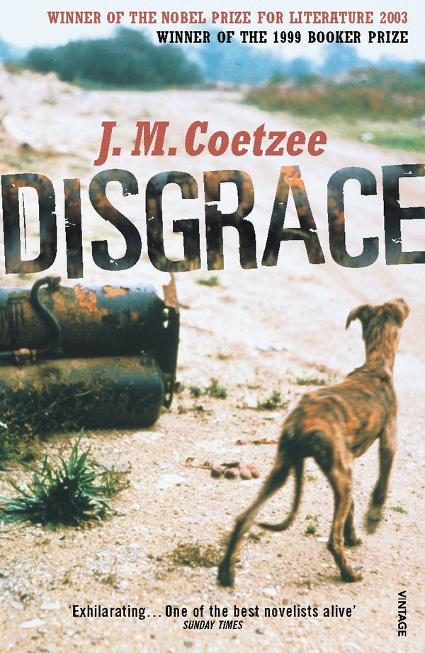 Book cover of Disgrace by J.M. Coetzee