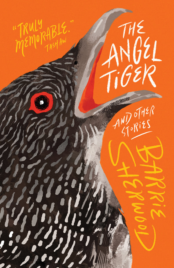 Book cover of The Angel Tiger And Other Stories by Barrie Sherwood