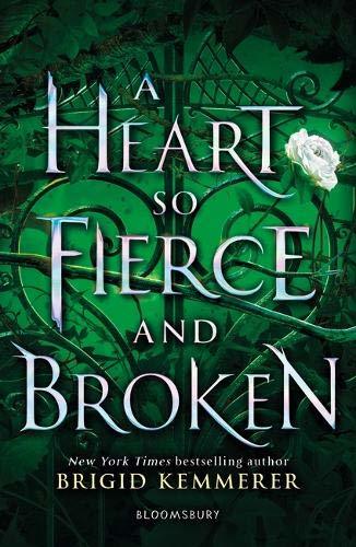 Book cover of A Heart So Fierce And Broken by Brigid Kemmerer