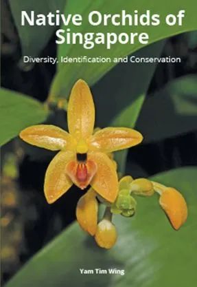 Book cover of Native Orchids Of Singapore: Diversity, Identification And Conservation by Yam Tim Wing