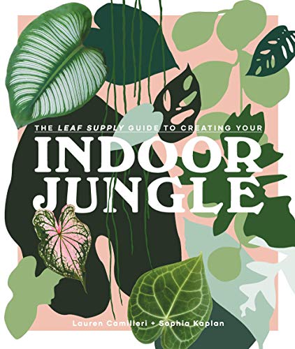 Book cover of Indoor Jungle by Lauren Camilleri, Sophia Kaplan