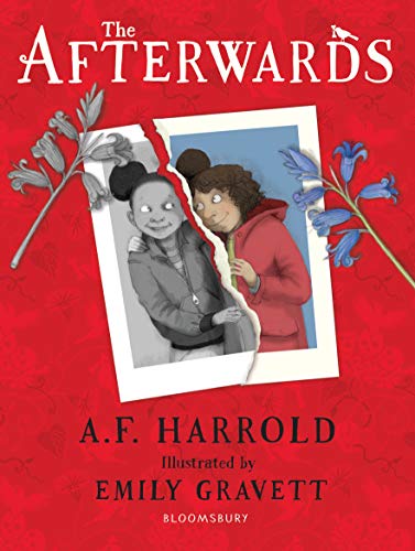 Book cover of The Afterwards by A.F. Harrold