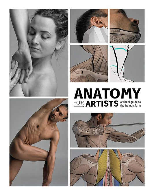 Book cover of Anatomy For Artists: A Visual Guide To The Human Form by 3dtotal Publishing (Ed.)