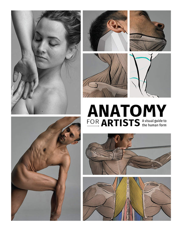 Book cover of Anatomy For Artists: A Visual Guide To The Human Form by 3dtotal Publishing (Ed.)