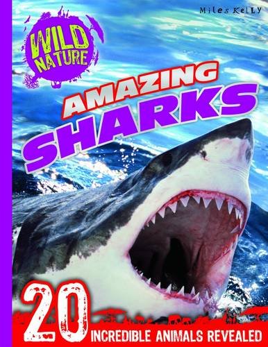 Book cover of Amazing Sharks by Belinda Gallagher