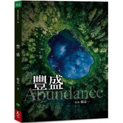 Book cover of 豐盛 by 楊定一