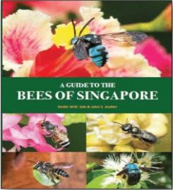 Book cover of A Guide To The Bees Of Singapore by Sun Ai Laia