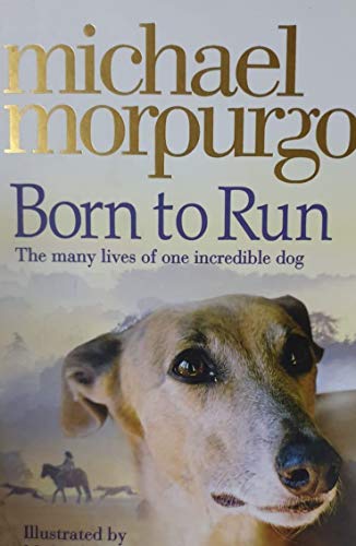 Book cover of Born To Run by Michael Morpurgo