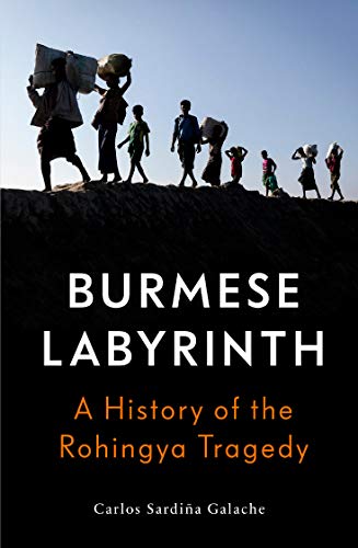 Book cover of The Burmese Labyrinth: A History of the Rohingya Tragedy by Carlos Sardiña Galache