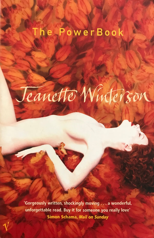 Book cover of The PowerBook by Jeanette Winterson