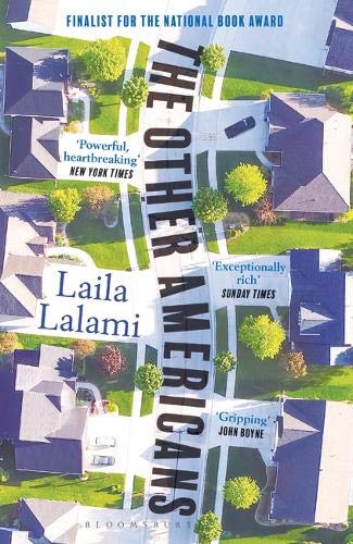 Book cover of The Other Americans by Lalami Laila