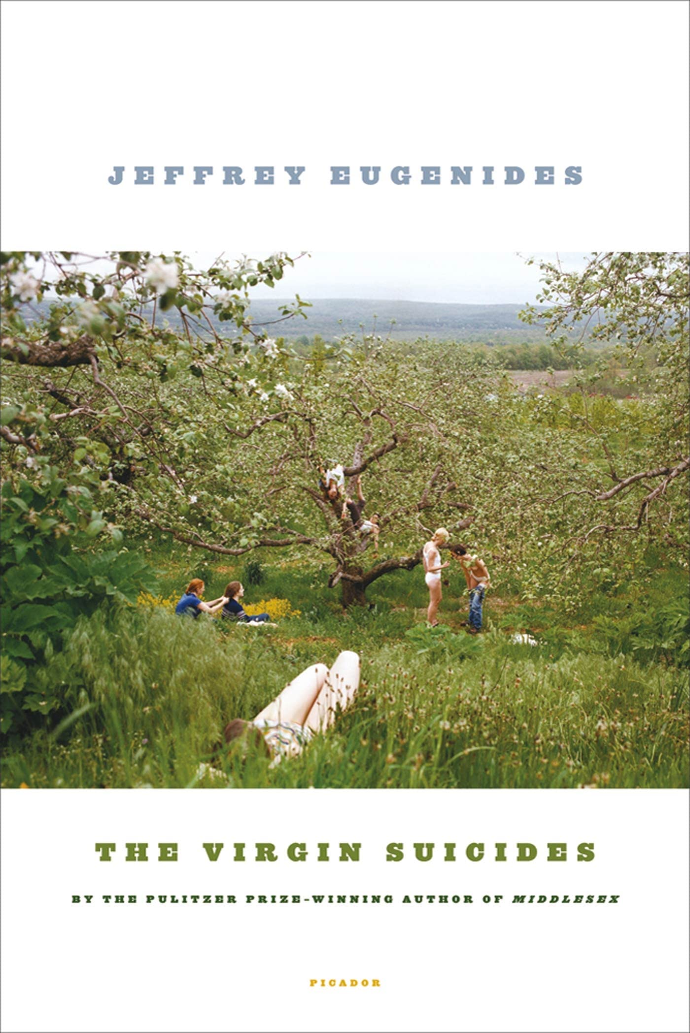 Book cover of The Virgin Suicides by Jeffrey Eugenides
