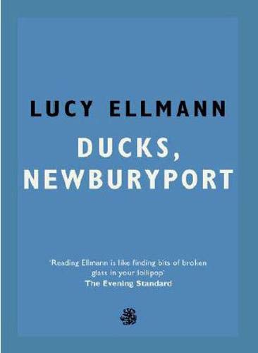 Book cover of Ducks, Newburyport by Lucy Ellmann