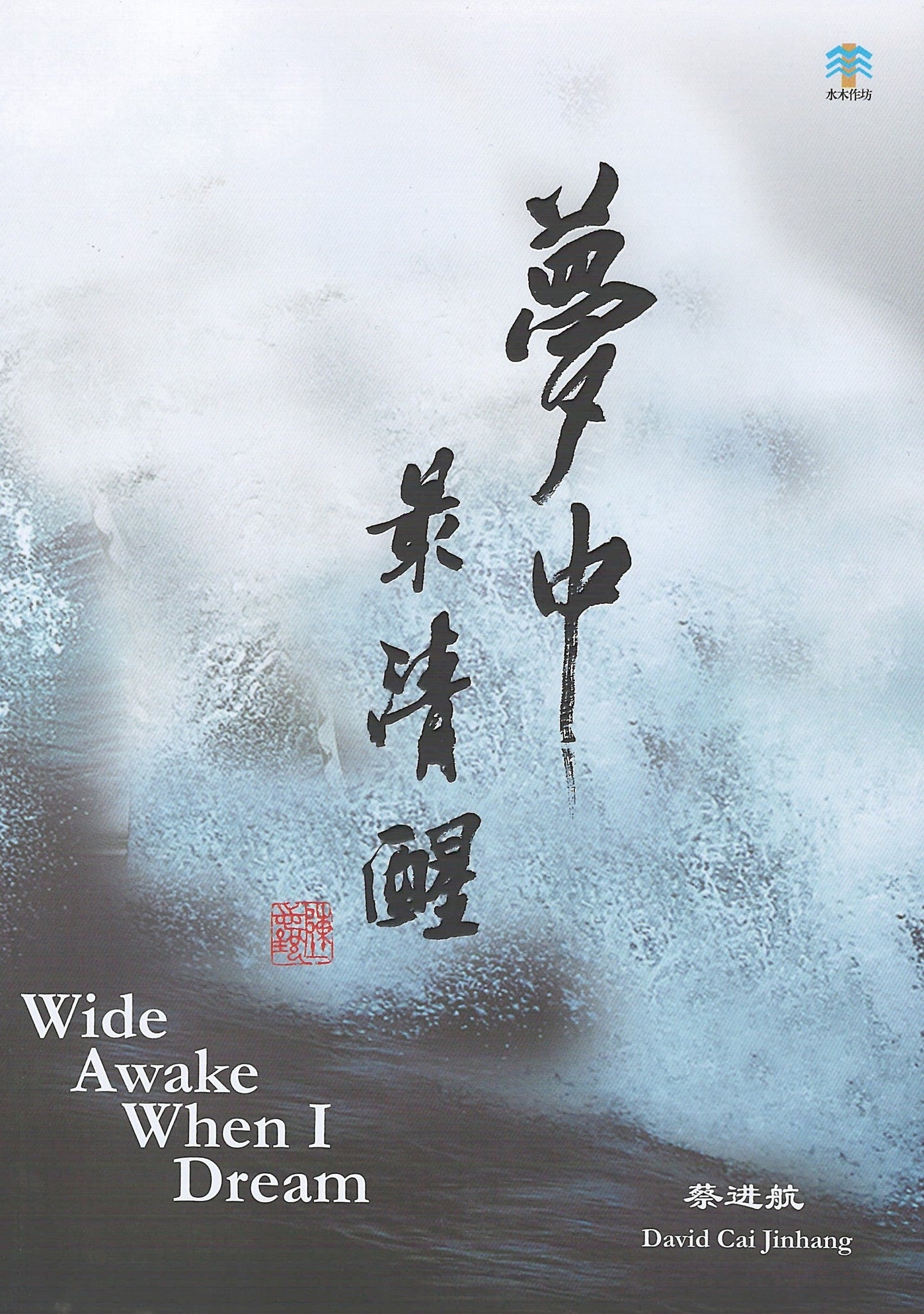 Book cover of 梦中最清醒 by David Cai Jinhang