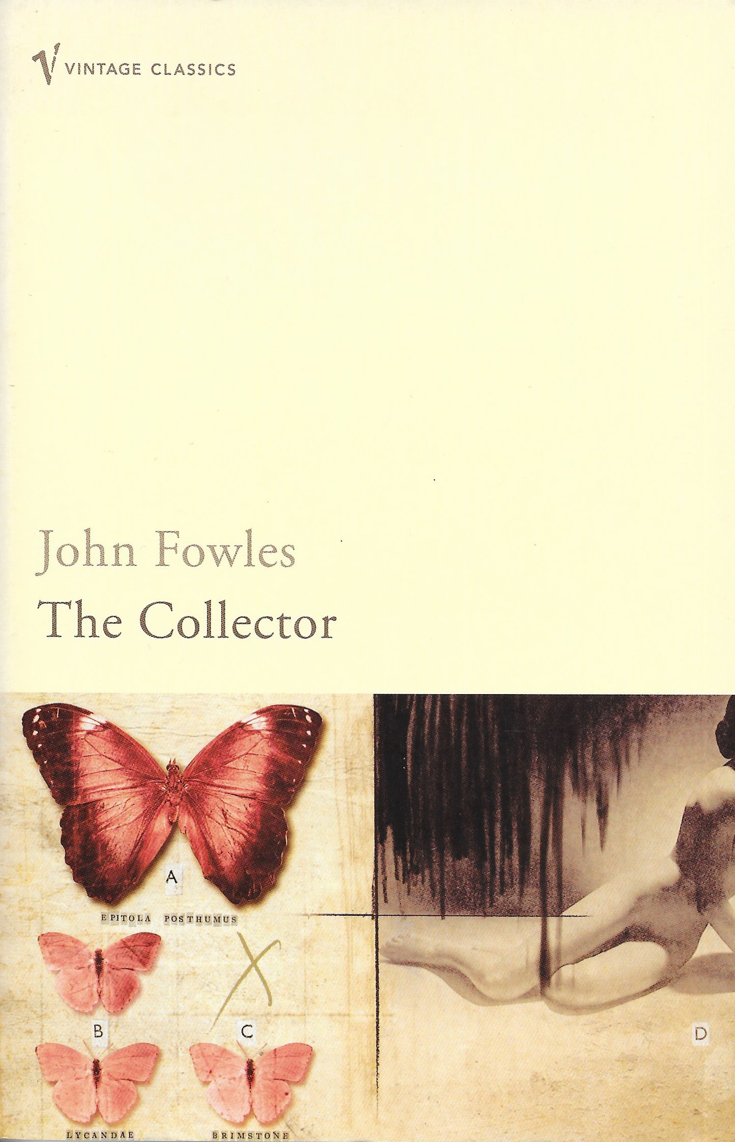 Book cover of The Collector by John Fowles