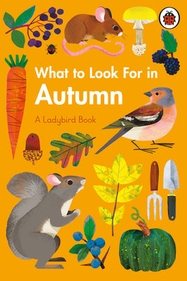 Book cover of What To Look For In Autumn by Elizabeth Jenner