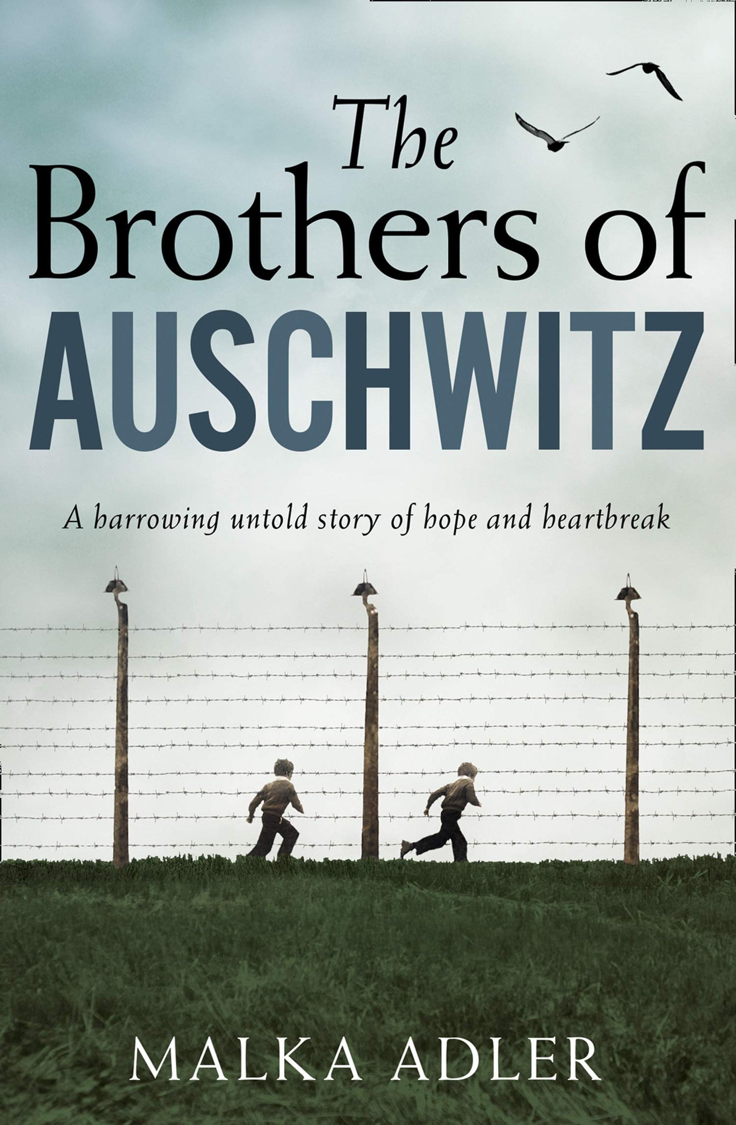 Book cover of The Brothers Of Auschwitz by Malka Adler