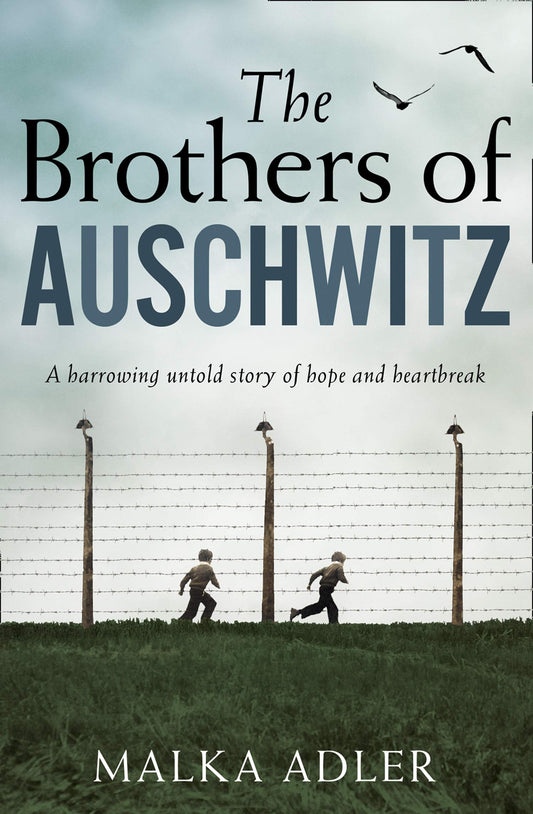 Book cover of The Brothers Of Auschwitz by Malka Adler