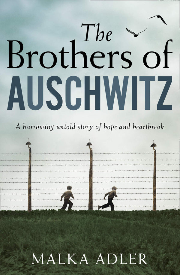 Book cover of The Brothers Of Auschwitz by Malka Adler